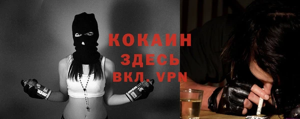 твердый Сосновый Бор