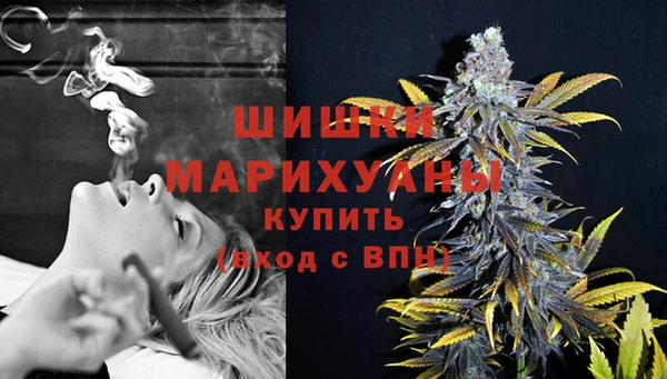 крисы Сосновоборск