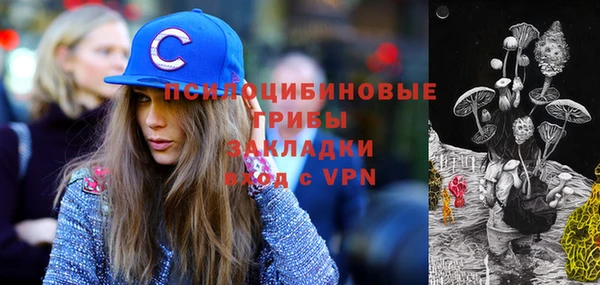 крисы Сосновоборск