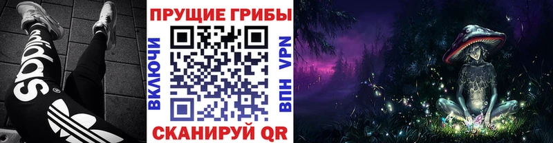Псилоцибиновые грибы мухоморы  где купить наркотик  Щигры 